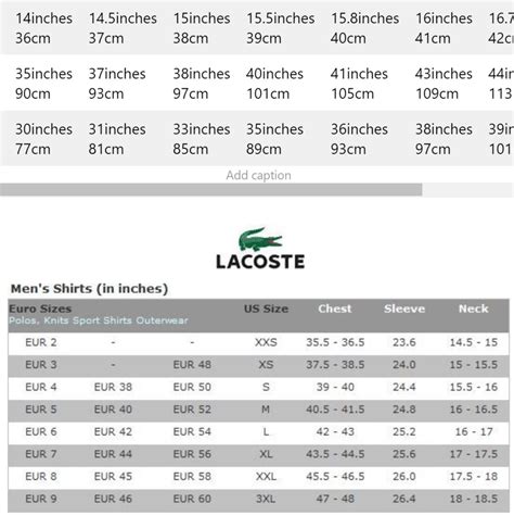 size guide lacoste shoes|size 40 lacoste chart.